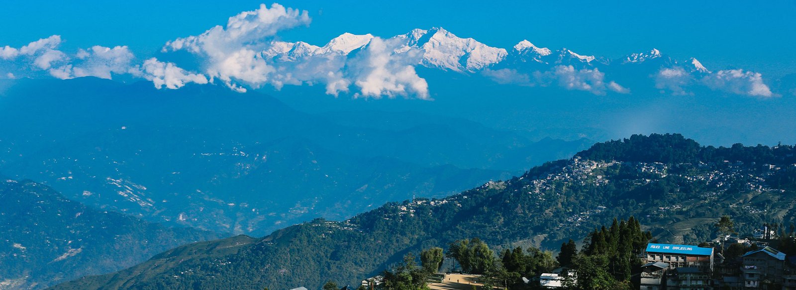 darjeeling banner