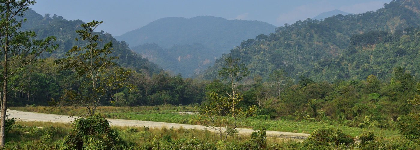 7878beauty of dooars banner